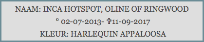 NAAM: INCA HOTSPOT, OLINE OF RINGWOOD ° 02-07-2013- V11-09-2017 KLEUR: HARLEQUIN APPALOOSA